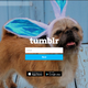 Image for article titled For Sale: Massive Blogging Platform, Lightly Used